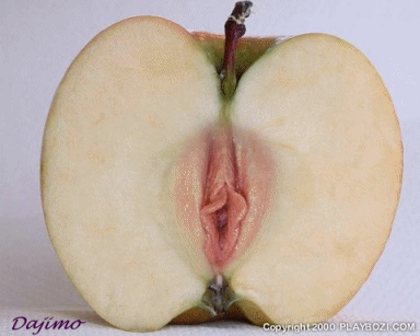 Ani Giof - An Apple a Day.gif
