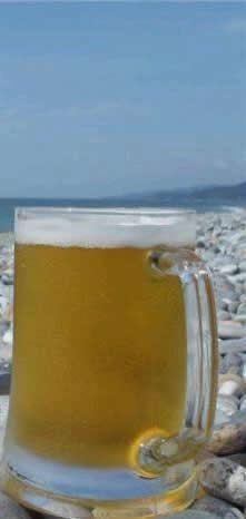 The World Famous Zatte Vrienden Forum!